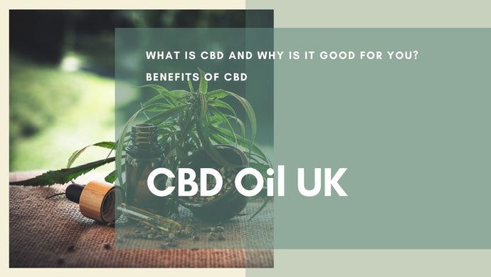 What is CBD? | A Brief Introduction
